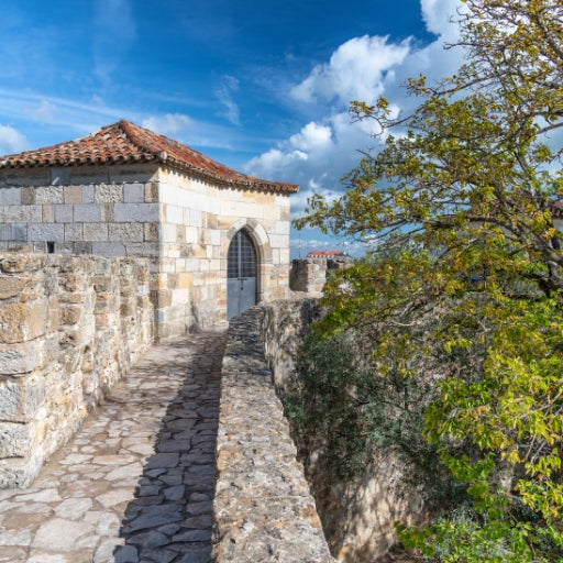 Visite à pied de Lisbonne + Billets pour le château de S. Jorge