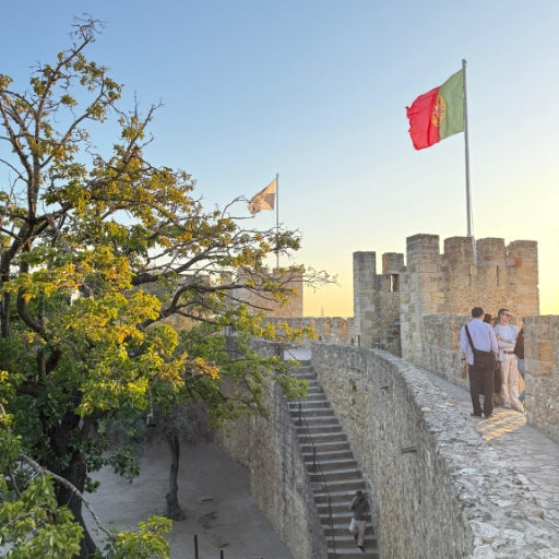 Visite à pied de Lisbonne + Billets pour le château de S. Jorge