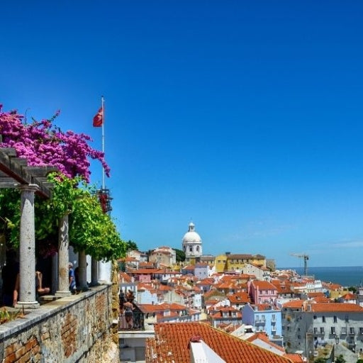 Visite à pied de Lisbonne + Billets pour le château de S. Jorge