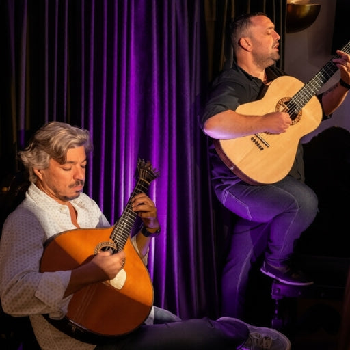 Dîner et Spectacle de Fado : Une Expérience Privée Authentique (avec Transfert)