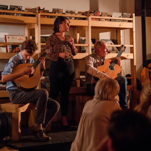 Fado Dinner & Show: An Authentic Private Experience (with Transfer)