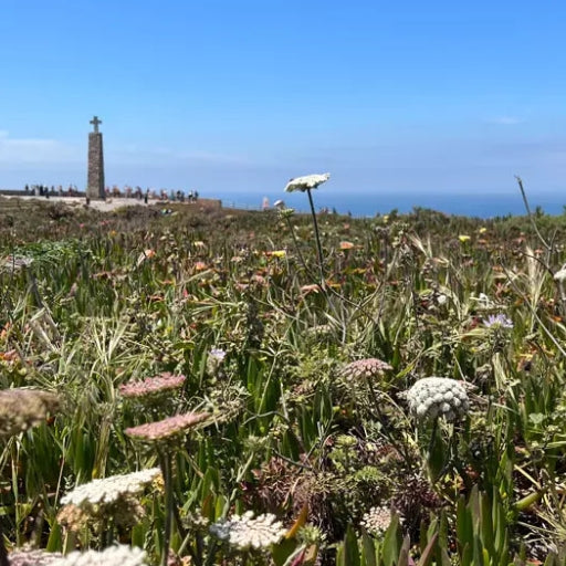 Sintra & Cascais: Passeio de um dia com ingressos para o Palácio da Pena