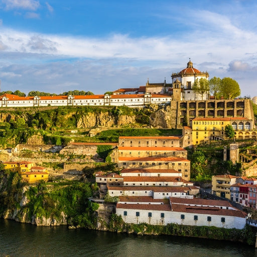 Tour de Vinhos do Porto: Caves Premium com Provas Variadas