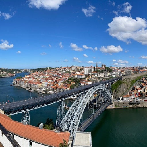 Tour de Vinhos do Porto: Caves Premium com Provas Variadas
