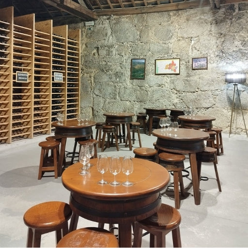 Tour de Vinhos do Porto: Caves Premium com Provas Variadas