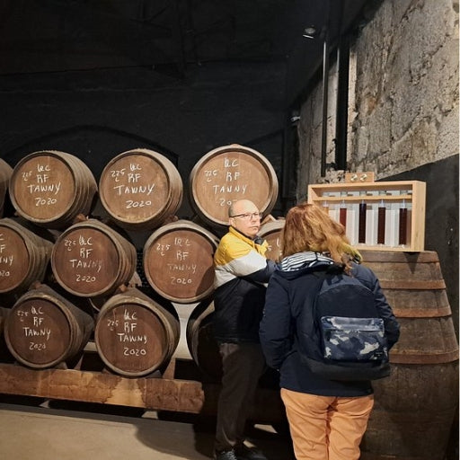 Tour de Vinhos do Porto: Caves Premium com Provas Variadas