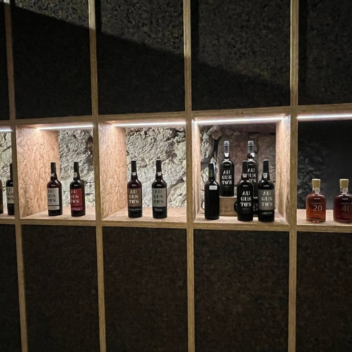 Tour de Vinhos do Porto: Caves Premium com Provas Variadas