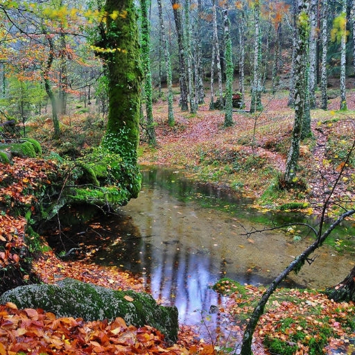 Gerês National Park: Nature, Wine & Traditions