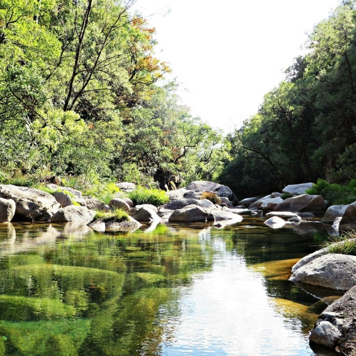 Gerês National Park: Nature, Wine & Traditions