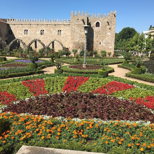 Braga & Guimarães: The Historic Minho Day Tour