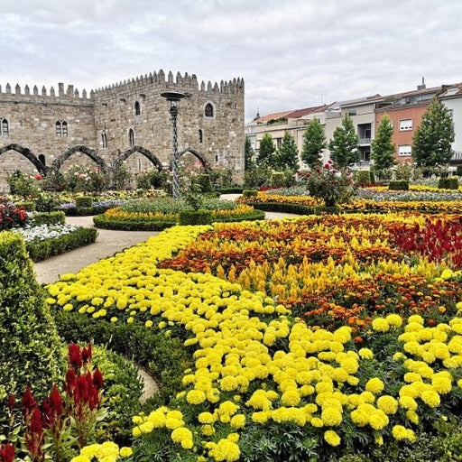 Braga & Guimarães: The Historic Minho Day Tour