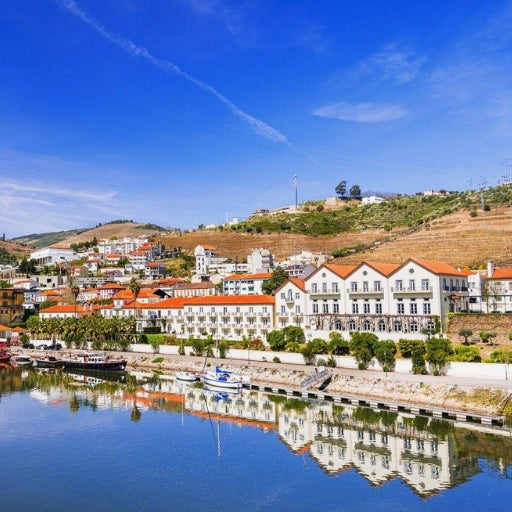 Braga & Guimarães: The Historic Minho Day Tour