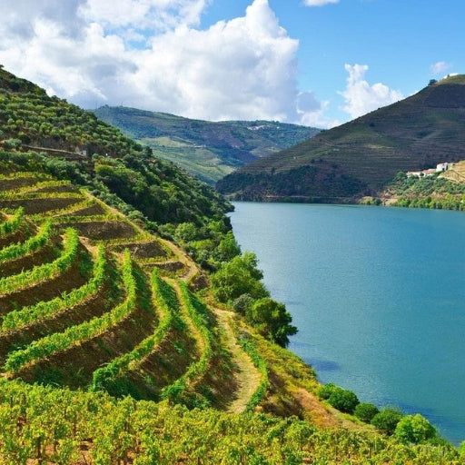 Braga & Guimarães: The Historic Minho Day Tour