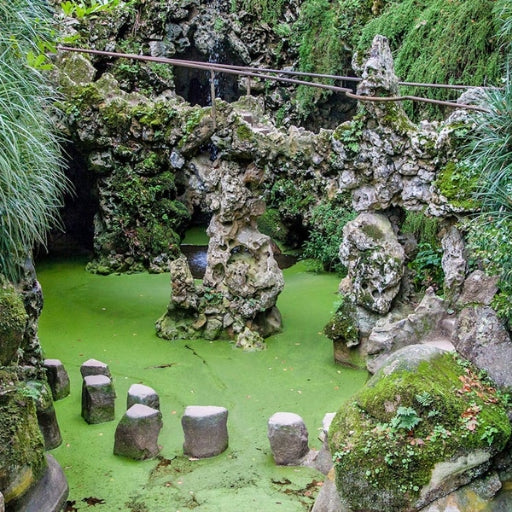 Sintra: Quinta da Regaleira Guided Tour with Tickets
