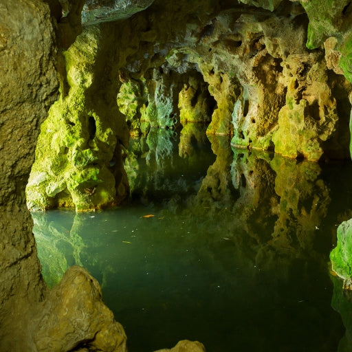 Sintra: Quinta da Regaleira Guided Tour with Tickets