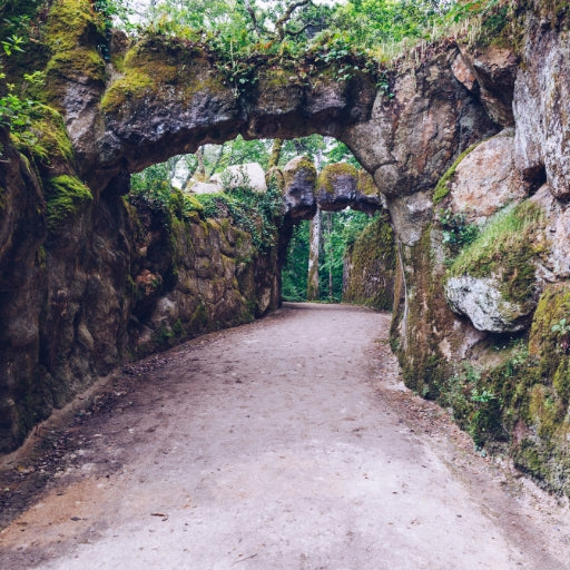 Sintra: Quinta da Regaleira Guided Tour with Tickets