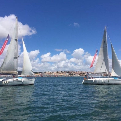 Tagus River Sailboat Cruise (2-hour) with Open Bar
