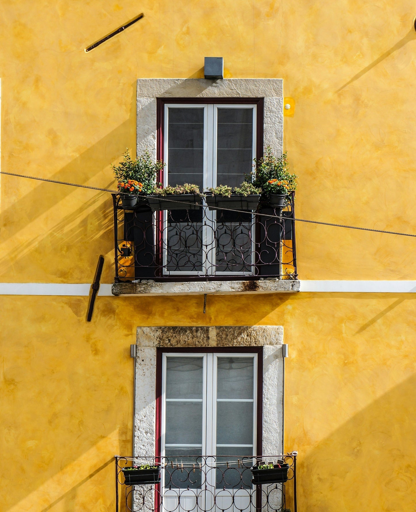 Lisbon Walking Tour