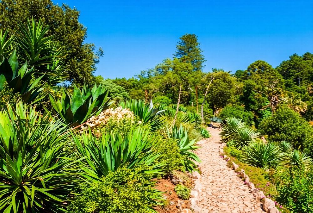 Sintra: Visita Guiada ao Palácio de Monserrate