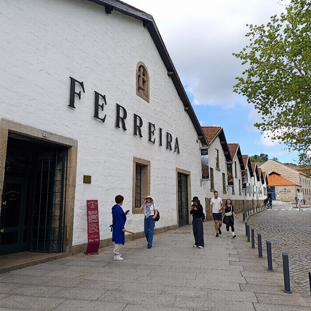 Tour de Vinhos do Porto: Caves Premium com Provas Variadas